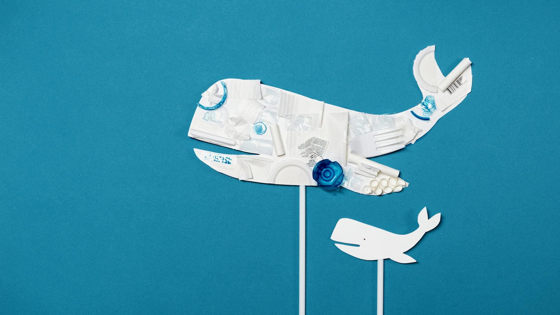 HYPE Whale Bets Surge as Institutional Accumulation Hits $170M