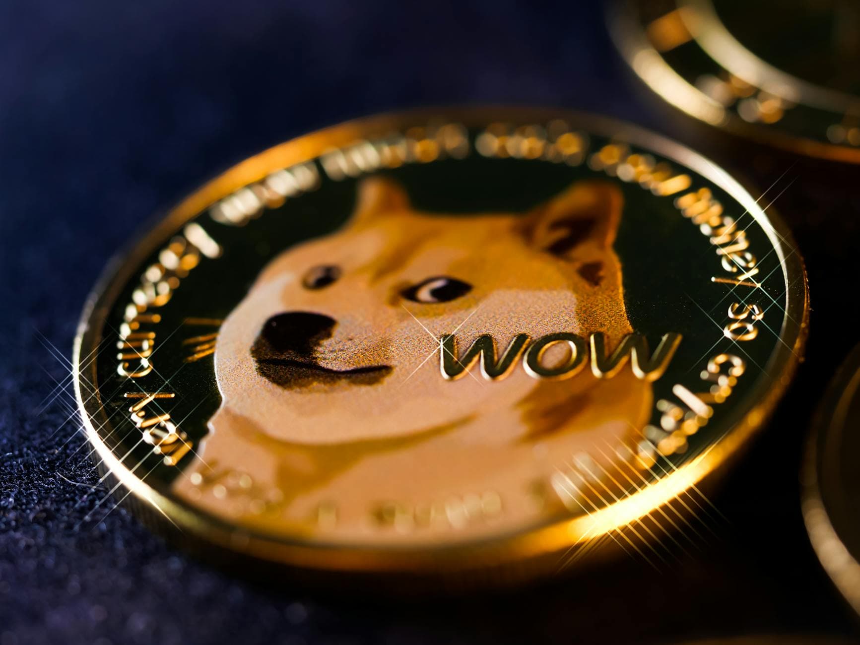 Americans Arrested in Japan Over Meme Coin Zoo Stunt