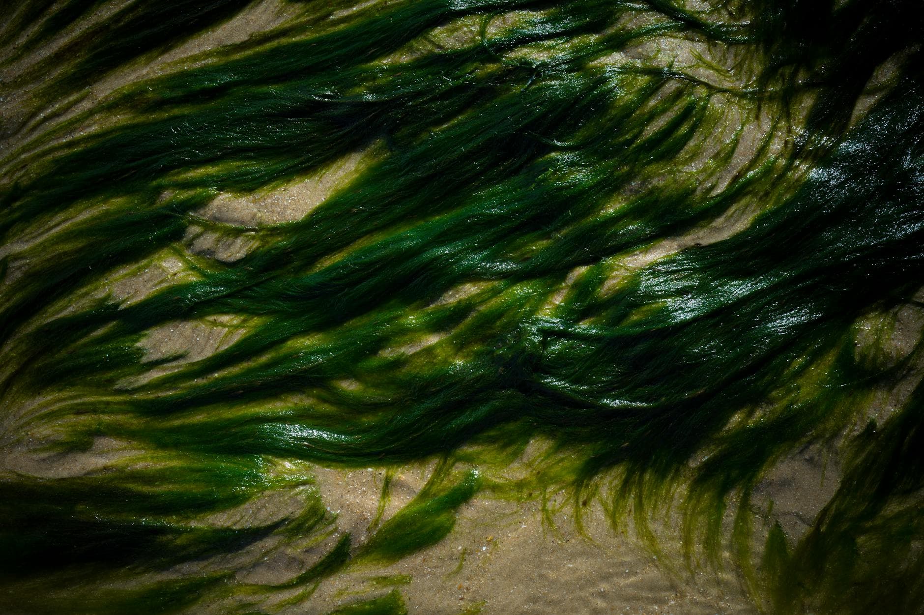 Kelp DAO Restores rsETH Token 5 Weeks After $293M Hack